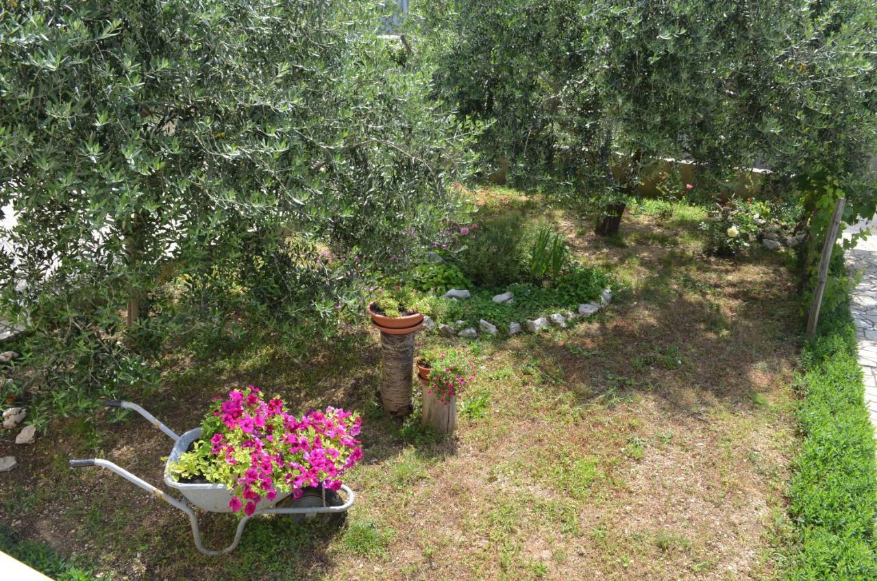 Apartman Ana *